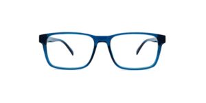 Clearly Petrel Glasses