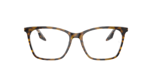 Ray Ban RB5422 Optics