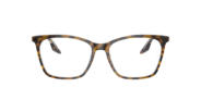 Ray Ban RB5422 Optics